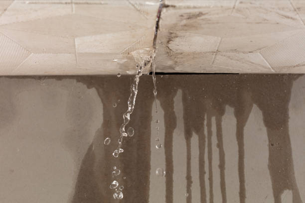 Professional Water Damage Repair technician working in Shelby, MS